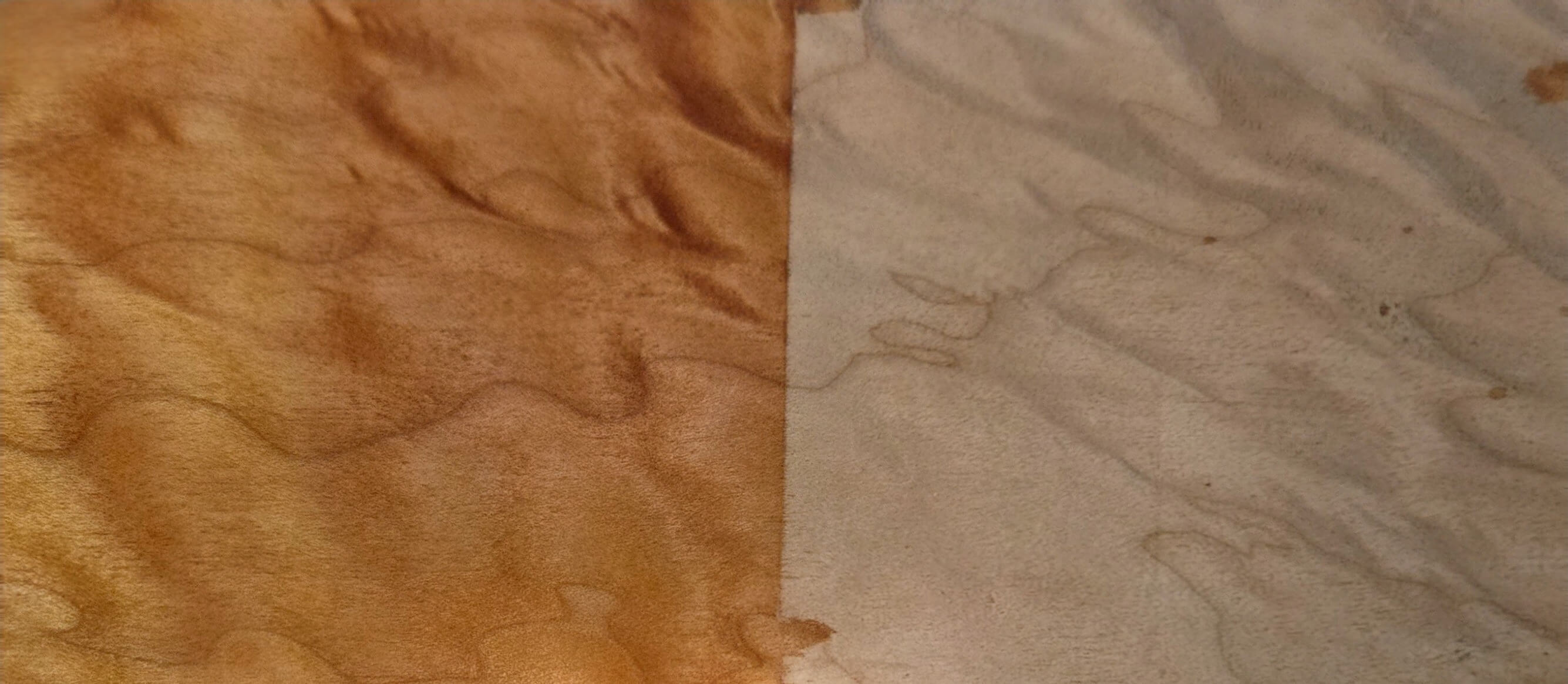 Quilted Maple